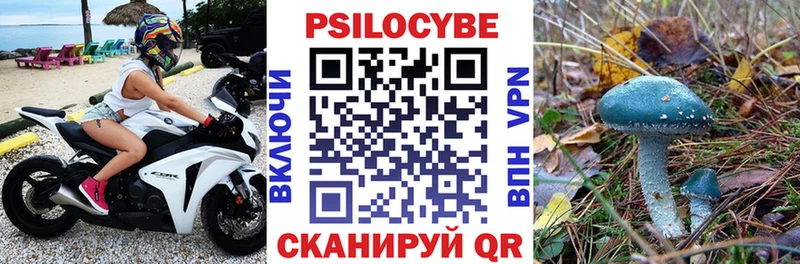 купить наркоту Луза ссылка на мегу вход Галлюциногенные грибы Magic Shrooms
